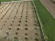 TEKELİDE ANAYOL CEPHELİ SATILIK TAPULU 260 M2 İZBANA YAKIN BAHÇELER