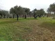 TORBALI BATI GAYRİMENKUL DEN DAĞKIZILCA DA TARLA