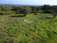 ORTAKLAR&#39;DA 575 M2 SATILIK İMARLI ARSA