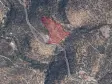 ŞİRİNCE&#38;#39;DE 9.870 m² YATIRIM DEĞERİ YÜKSEK SATILIK ZEYTİNLİK