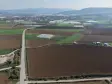 İZMİR SANCAKLIDA SATILIK TEKTAPU 4.700 M2 ANAYOLA YAKIN KÖŞE TARLA