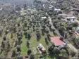 İZMİR ATAKÖYDE SATILIK 4.000 M2 TEKTAPU İÇERİSİNDE 2 EV OLAN ZEYTİNLİK
