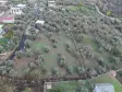 İZMİR ATAKÖYDE SATILIK 4.000 M2 TEKTAPU İÇERİSİNDE 2 EV OLAN ZEYTİNLİK