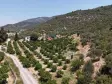AHMETBEYLİDE SATILIK TEKTAPU 10.400 M2 SAHİLE YAKIN ÇİFTLİK VE BAHÇE