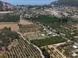 AHMETBEYLİDE SATILIK TEKTAPU 10.400 M2 SAHİLE YAKIN ÇİFTLİK VE BAHÇE