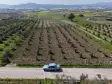 İZMİR TEKELİDE SATILIK TAPULU 170 M2 ASFALT CEPHE MANZARALI ZEYTİNLİ BAHÇELER