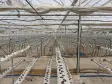 İZMİR BAYINDIR ÇINARDİBİ&#39;NDE MÜSTAKİL TAPULU 1330 M2 BAHÇE