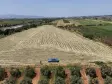 OĞLANANASINDA SATILIK TEKTAPU 840 M2 İMARIN DİBİNDE YATIRIMLIK BAHÇE