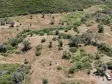 İZMİR ÇATALCADA SATILIK TEKTAPU 3.050 M2 KÖYE YAKIN MANZARALI YATIRIMLIK BAHÇE
