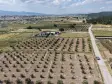 MENDERES TEKELİDE SATILIK TAPULU 170 M2 HARİKA BARAJ MANZARALI YATIRIMLIK BAHÇELER
