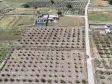 MENDERES TEKELİDE SATILIK TAPULU 170 M2 HARİKA BARAJ MANZARALI YATIRIMLIK BAHÇELER