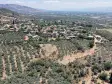 BAYINDIR KIZILCAOVADA SATILIK TEKTAPU KÖYÜN DİBİNDE 2.133 M2 HESAPLI ZEYTİNLİK