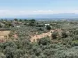 BAYINDIR KIZILCAOVADA SATILIK TEKTAPU KÖYÜN DİBİNDE 2.133 M2 HESAPLI ZEYTİNLİK