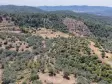 İZMİR YENİKÖYDE SATILIK TEKTAPU 9.050 M2 ANAYOLA KÖYE YAKIN KELEPİR ZEYTİNLİK