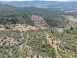 İZMİR YENİKÖYDE SATILIK TEKTAPU 9.050 M2 ANAYOLA KÖYE YAKIN KELEPİR ZEYTİNLİK
