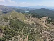İZMİR YENİKÖYDE SATILIK TEKTAPU 9.050 M2 ANAYOLA KÖYE YAKIN KELEPİR ZEYTİNLİK