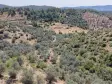 İZMİR YENİKÖYDE SATILIK TEKTAPU 9.050 M2 ANAYOLA KÖYE YAKIN KELEPİR ZEYTİNLİK