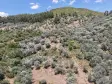 İZMİR YENİKÖYDE SATILIK TEKTAPU 9.050 M2 ANAYOLA KÖYE YAKIN KELEPİR ZEYTİNLİK