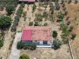 SERKÖY ÇİFTLİK EVLERİNDE SATILIK 1.500 M2 ARSA 100 M2 MÜSTAKİL EV