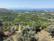 İZMİR ÖZDEREDE SATILIK DENİZ MANZARALI TEKTAPU 1.961 M2 YATIRIMLIK BAHÇE