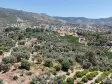 İZMİR ÖZDEREDE SATILIK DENİZ MANZARALI TEKTAPU 1.961 M2 YATIRIMLIK BAHÇE