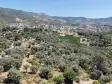 İZMİR ÖZDEREDE SATILIK DENİZ MANZARALI TEKTAPU 1.961 M2 YATIRIMLIK BAHÇE