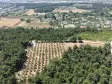 İZMİR YEŞİLKÖYDE SATILIK TEKTAPU 5.157 M2 HAVAALANINA YAKIN HARİKA ÇİFTLİK