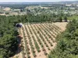 İZMİR YEŞİLKÖYDE SATILIK TEKTAPU 5.157 M2 HAVAALANINA YAKIN HARİKA ÇİFTLİK