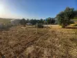Buca Belenbaşı 426 m2 Satılık Düz Tarla