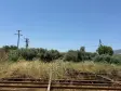 Emlak Atölyesinden | Ören&#38;#39;de Satılık 9557 m2 Tek Tapu Bahçe
