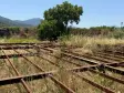 Emlak Atölyesinden | Ören&#38;#39;de Satılık 9557 m2 Tek Tapu Bahçe