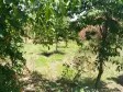 Emlak Atölyesinden | Yukarıkızılca&#39;da 3.700 M² Satılık Bahçe