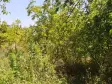 Emlak Atölyesinden | Yukarıkızılca&#39;da 3.700 M² Satılık Bahçe