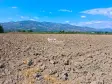 KUYUCAK AZİZABAT&#39;TA SATILIK VERİMLİ TARLA