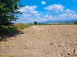 KUYUCAK AZİZABAT&#39;TA SATILIK VERİMLİ TARLA