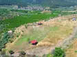 SELÇUK ACARLAR MEVKİİ&#39;NDE MUHTEŞEM MANZARALI VERİMLİ ZEYTİNLİK