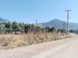 Emlak Atölyesinden Armutlu&#39;da Satılık 6056 M2 Tek Tapu Zeytinlik