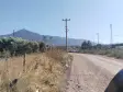 Emlak Atölyesinden Armutlu&#39;da Satılık 6056 M2 Tek Tapu Zeytinlik