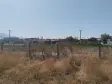 Emlak Atölyesinden Armutlu&#39;da Satılık 6056 M2 Tek Tapu Zeytinlik