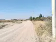 Emlak Atölyesinden Armutlu&#39;da Satılık 6056 M2 Tek Tapu Zeytinlik