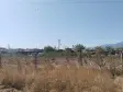 Emlak Atölyesinden Armutlu&#39;da Satılık 6056 M2 Tek Tapu Zeytinlik