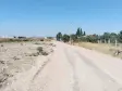 Emlak Atölyesinden Armutlu&#39;da Satılık 6056 M2 Tek Tapu Zeytinlik