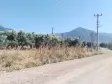 Emlak Atölyesinden Armutlu&#39;da Satılık 6056 M2 Tek Tapu Zeytinlik