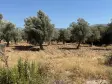 Emlak Atölyesinden Ansızca&#39;da Satılık 1833 m2 Bahçe