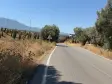 Emlak Atölyesinden Ansızca&#39;da Satılık 1833 m2 Bahçe