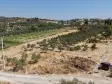 MENDERES DEREKÖYDE SATILIK 460 M2 TAPULU MERKEZE YAKIN ÇEVRİLİ HARİKA BAHÇE