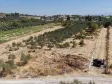 MENDERES DEREKÖYDE SATILIK 460 M2 TAPULU MERKEZE YAKIN ÇEVRİLİ HARİKA BAHÇE