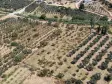MENDERES DEREKÖYDE SATILIK 460 M2 TAPULU MERKEZE YAKIN ÇEVRİLİ HARİKA BAHÇE
