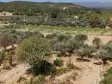 MENDERES DEREKÖYDE SATILIK 460 M2 TAPULU MERKEZE YAKIN ÇEVRİLİ HARİKA BAHÇE