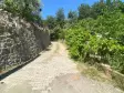 RAİON&#39;DAN İMAR PLANINA YAKIN MÜSTAKİL TAPULU SATILIK ZEYTİNLİK